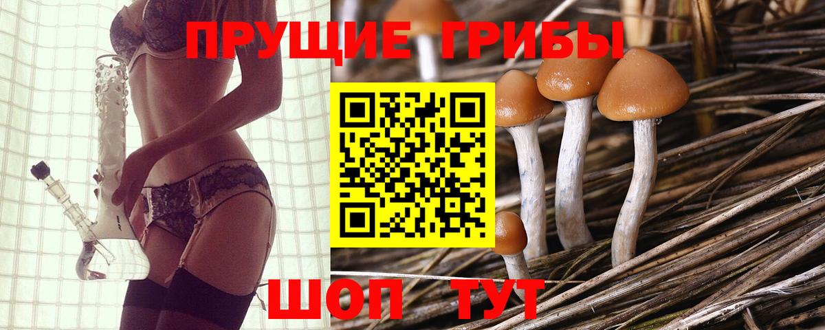 Галлюциногенные грибы Psilocybe  Вход с VPN  Псилоцибиновые грибы прущие грибы  Кумертау 