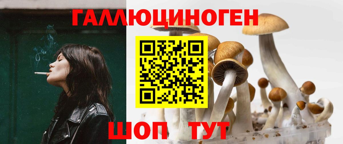 Псилоцибиновые грибы MAGIC MUSHROOMS Кумертау